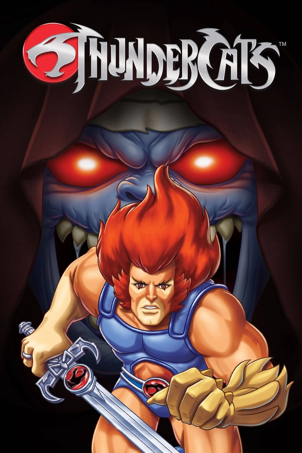 ThunderCats: Temp (1-4) [DVDRip] – Español Latino [2026]