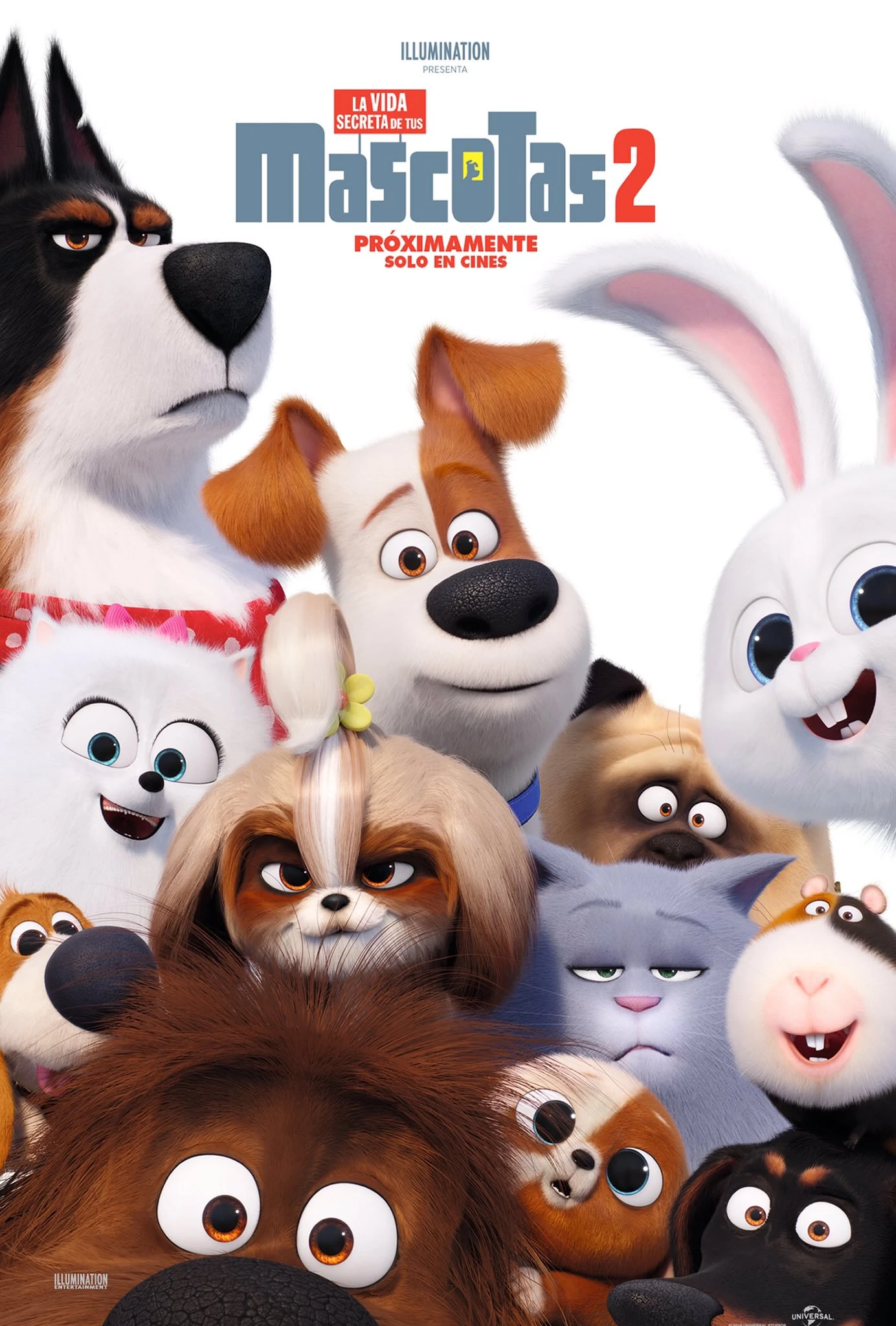 La vida secreta de tus mascotas