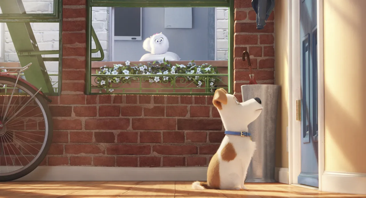 Serie Animada Mundotoon Imagen WEB DL 1080p