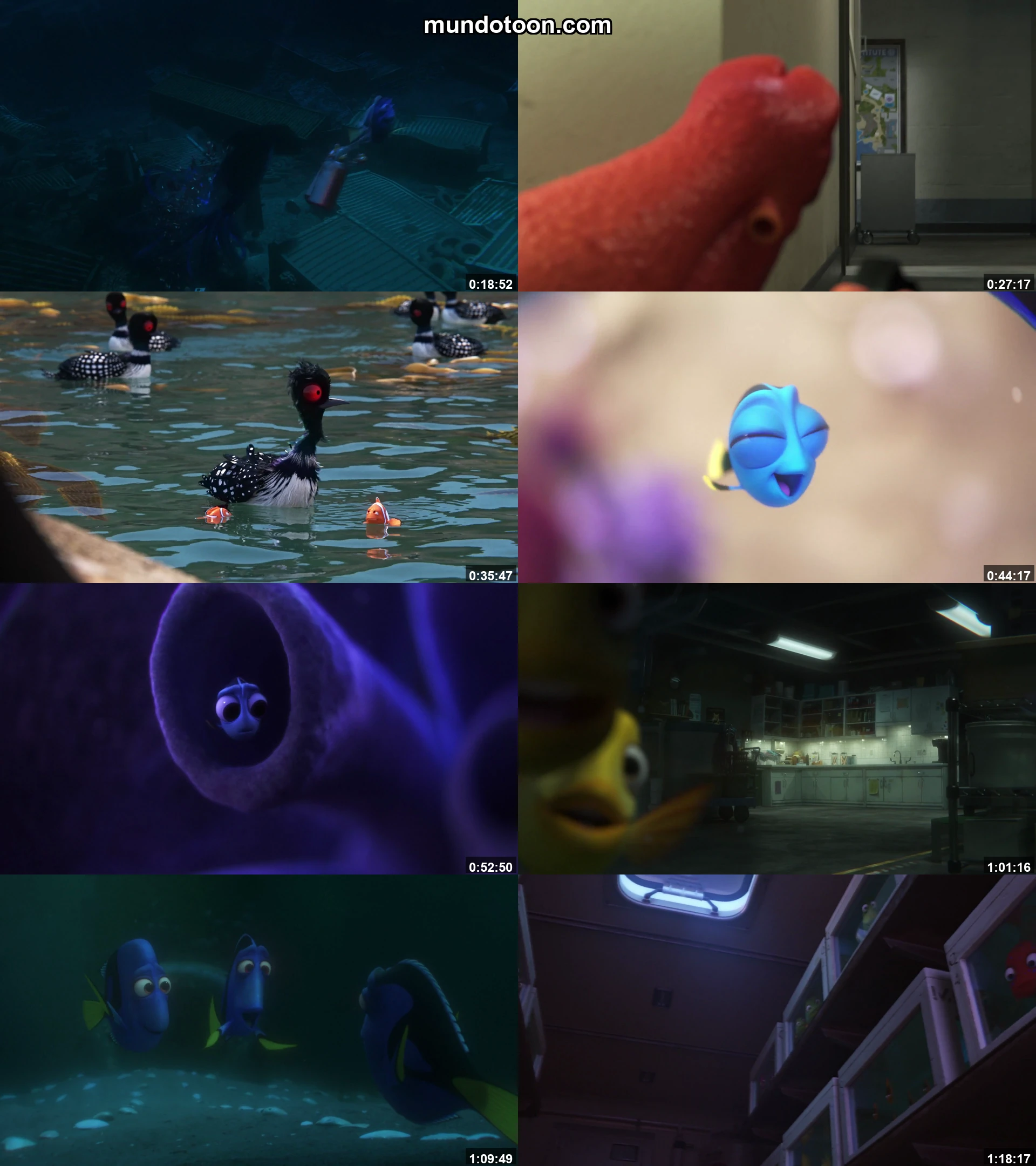 Captura 1 de Buscando a Dory - Audio Español Latino 1080p Completa