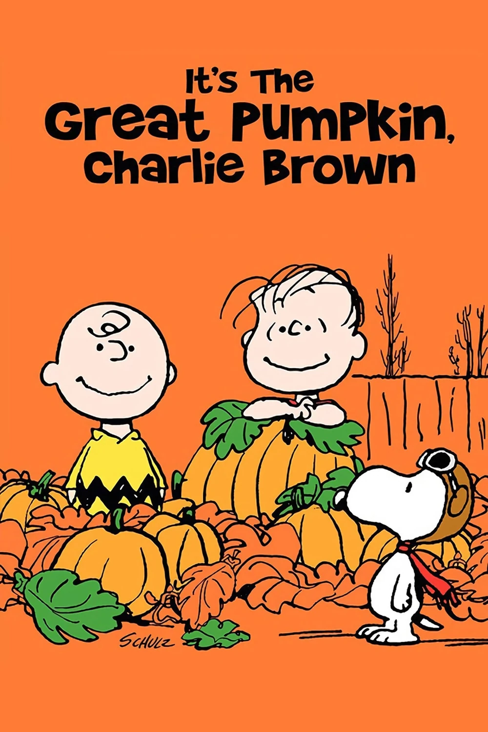 Ésta es la gran calabaza, Charlie Brown (1966) Película [1080p] Latino [2026]