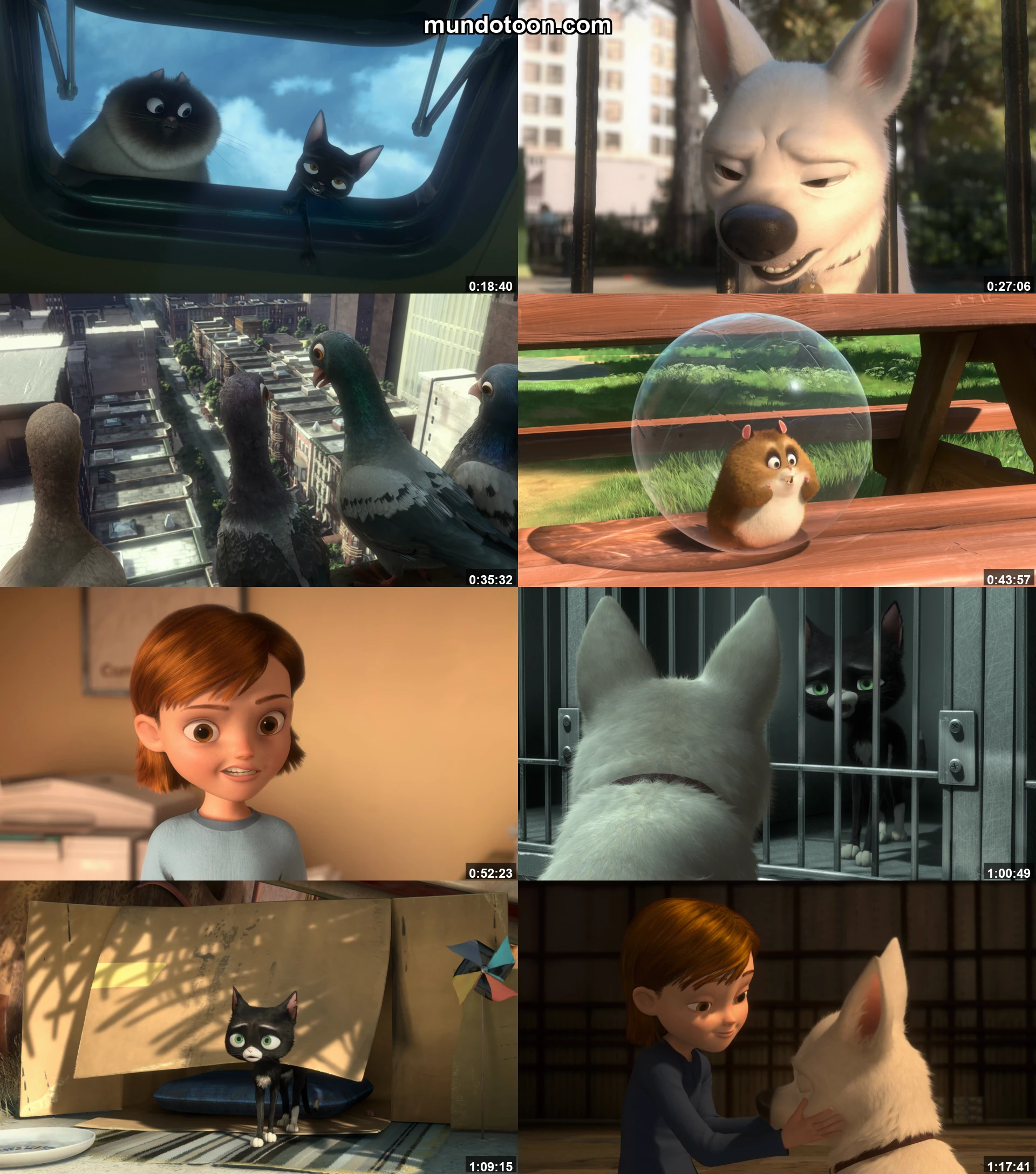 Captura 1 de Bolt: Un perro fuera de serie - Audio Español Latino 1080p Completa