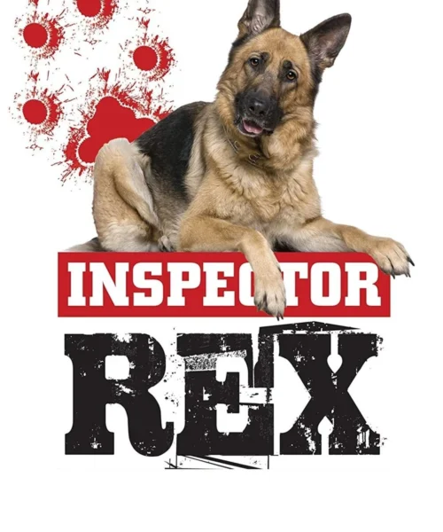 Rex: Un policía diferente: Temp (1-10) [TVRip 576p] – Español Latino [2026]