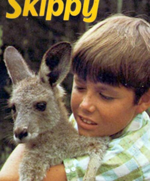Skippy el canguro australiano: Temp (1-3) [384p] – Inglés [2026]