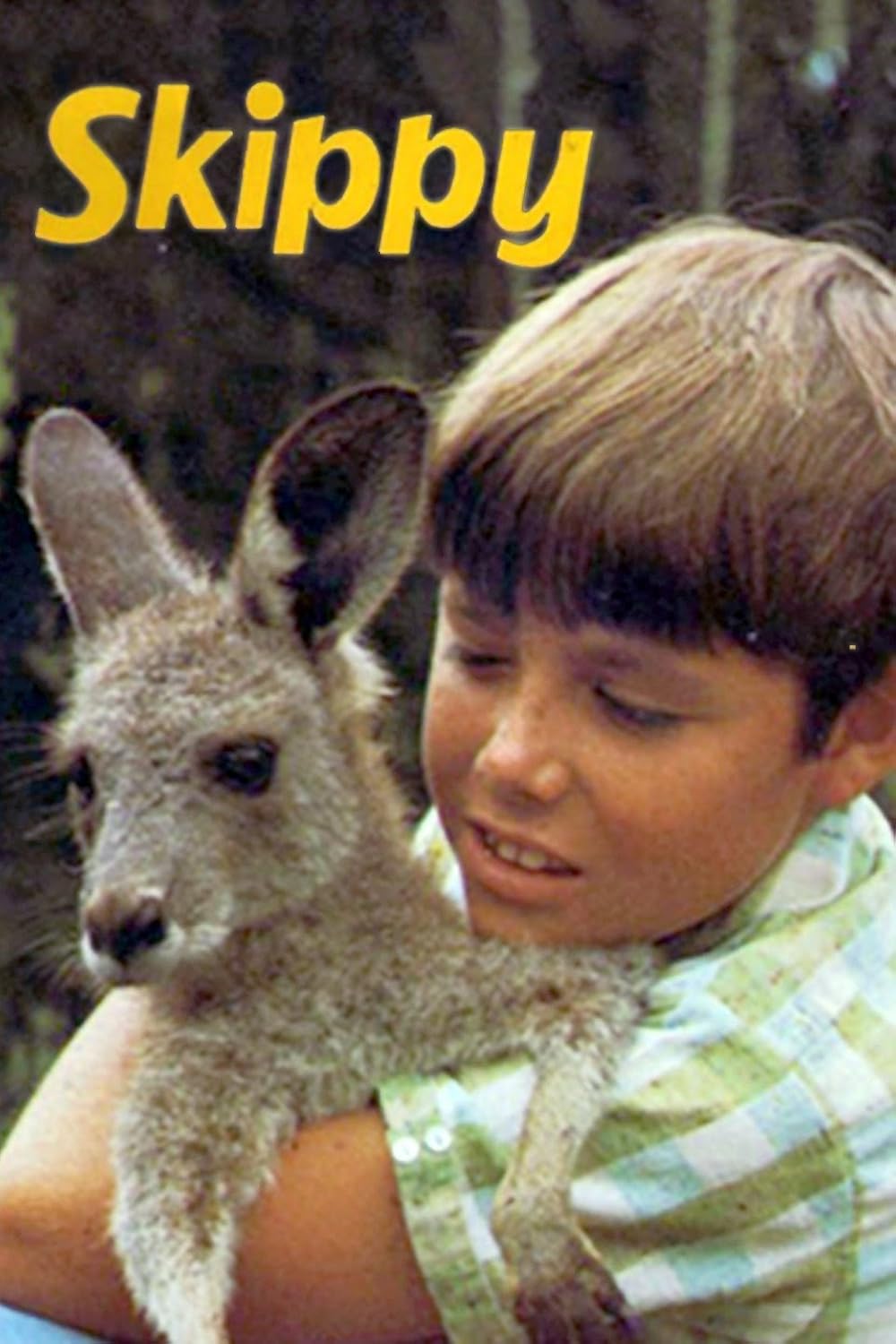 Skippy el canguro australiano: Temp (1-3) [384p] – Inglés [2026]