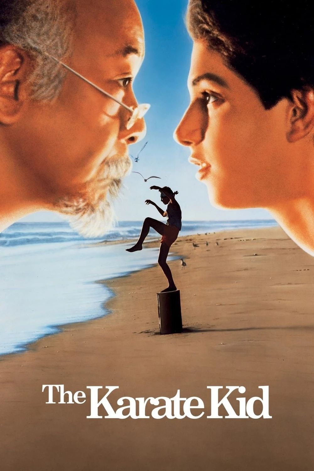 Karate Kid (1984) Película [1080p Dual] Latino/Ing [2026]