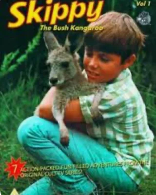 El patio de juegos de Skippyse (1969) Especial [480p] Latino [2026]