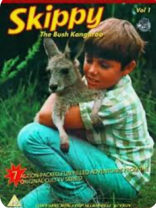 El patio de juegos de Skippyse (1969) Especial [480p] Latino [2026]