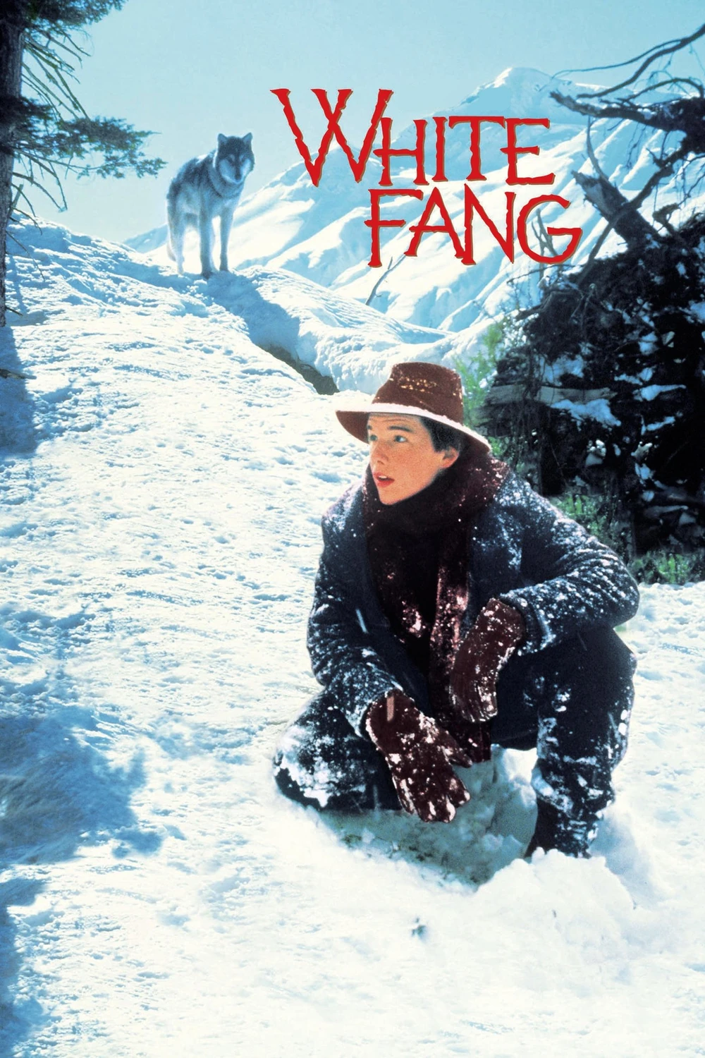 Colmillo Blanco (1991) Película [1080p Dual] Latino/Ing [2026]