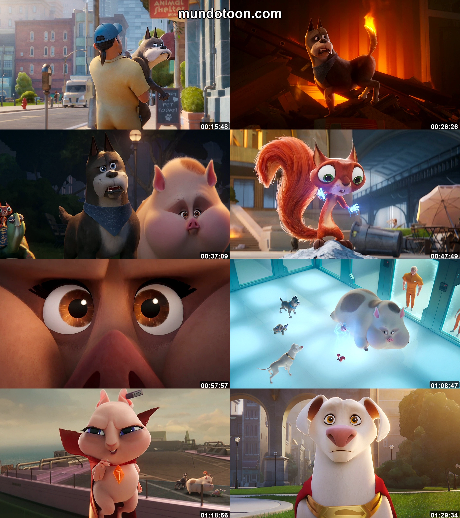 Captura 1 de DC Liga de Supermascotas - Audio Español Latino 1080p Completa