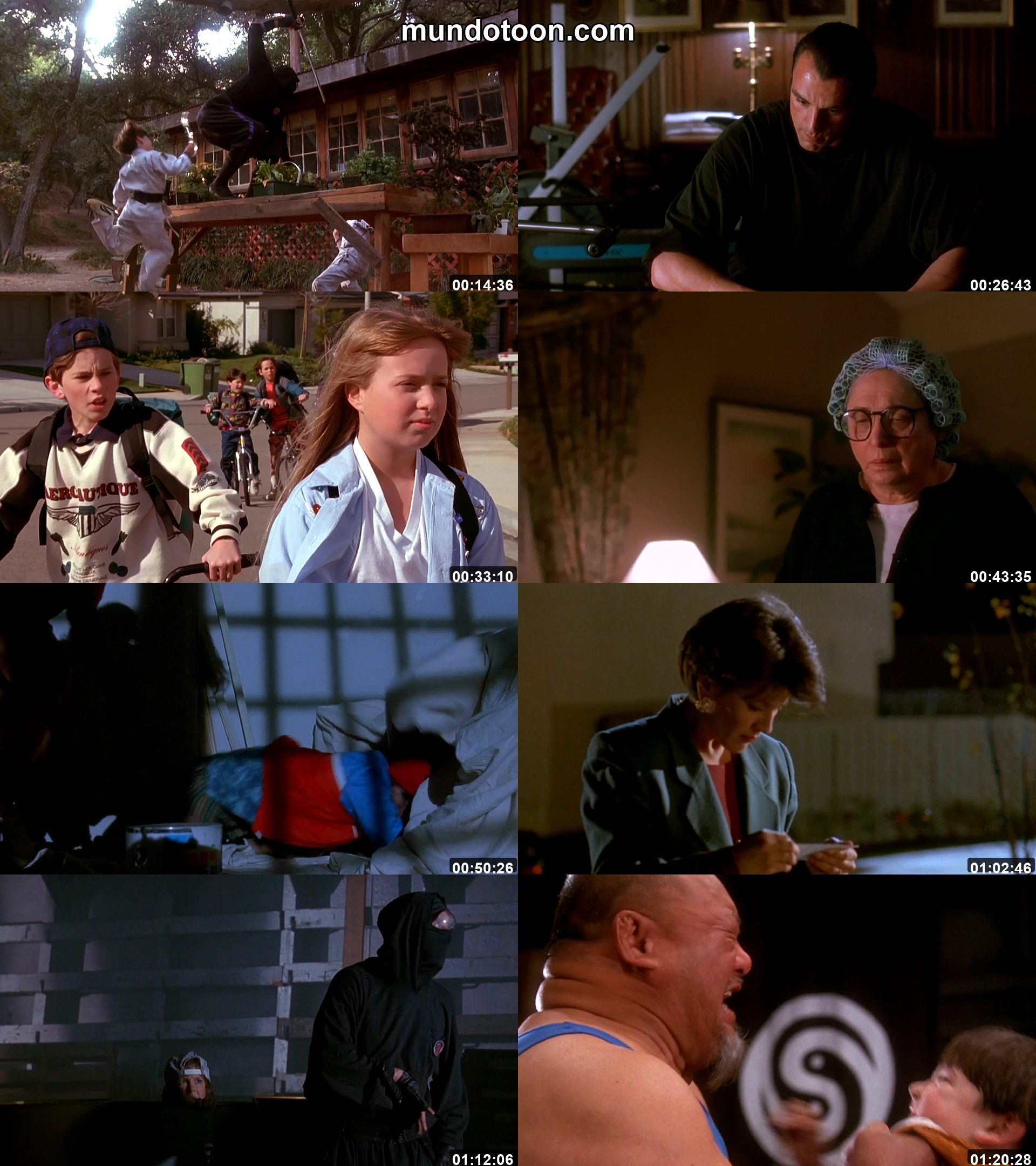 Captura 1 de 3 Ninjas - Audio Español Latino 1080p Completa