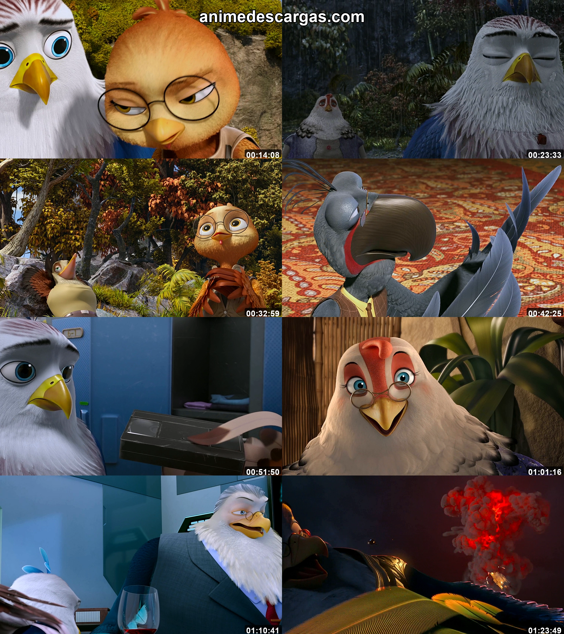 Captura 1 de Entre Plumas y Picos - Audio Español Latino 1080p Completa