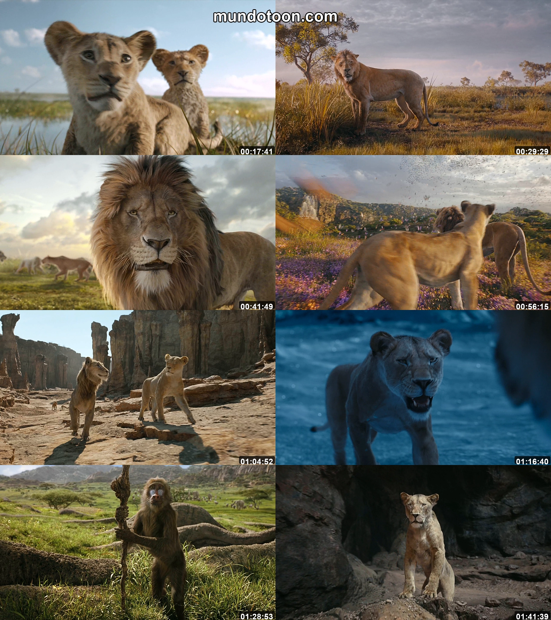 Collage de capturas de pantalla de Mufasa: El rey león