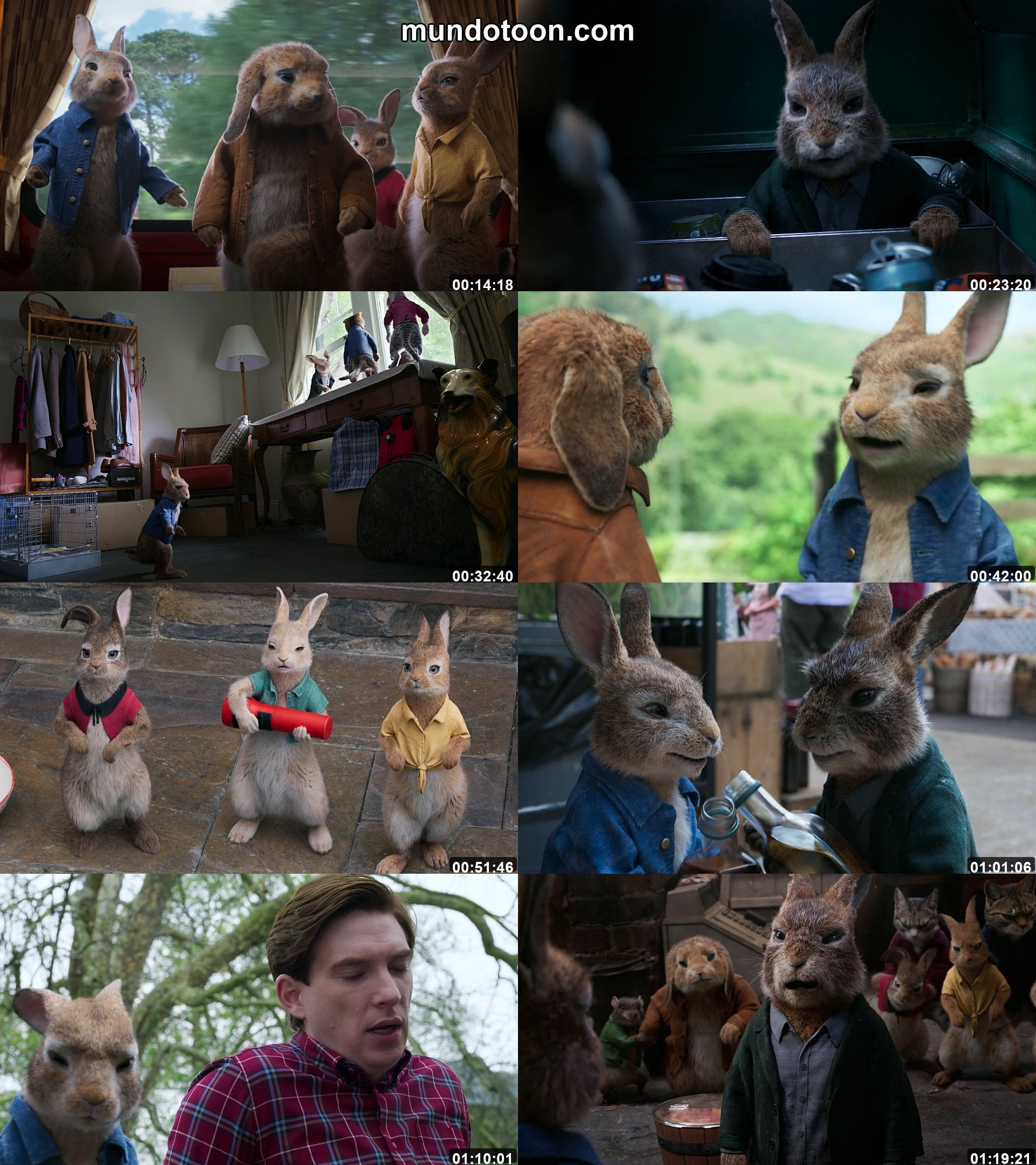 Collage de capturas de pantalla de Peter Rabbit 2: Conejo en fuga